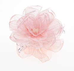 with Flower Pink