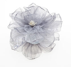 with Flower Gray