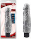 Chisa Novelties Ρεαλιστικός Δονητής 23cm Ασημί