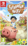 Everdream Valley Switch Game