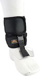 Dorsi Flexion Flexion Inner Shoe Podocnemic Splint