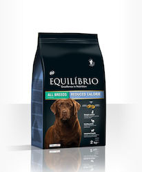 Equilibrio Reduced 2кг