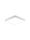 Braytron Ceiling Mount Light White with Integrated LED