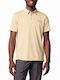 Nelson Point Polo T-shirt Ivory