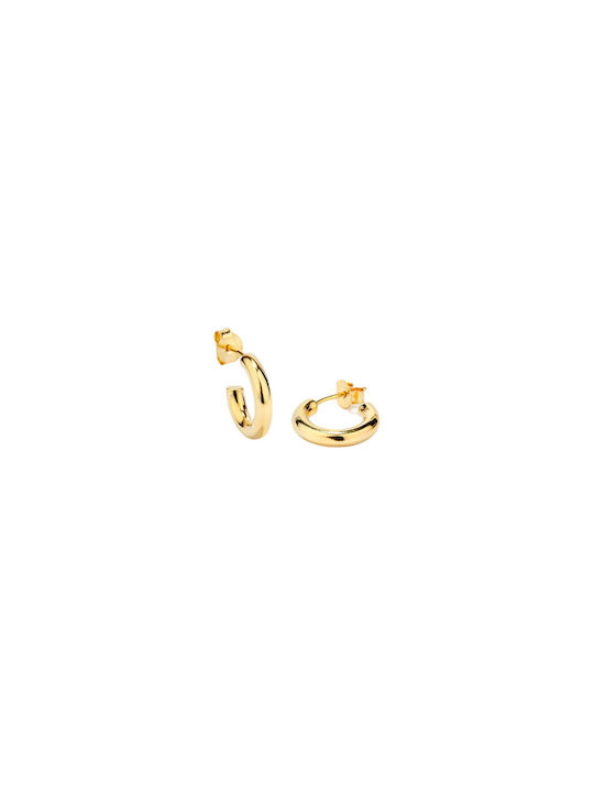 Women's earrings Radiant Ry000226