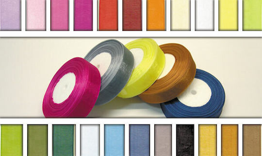 Paperpack Net Οργάντζα Κορδέλα Φούξια 45.5m
