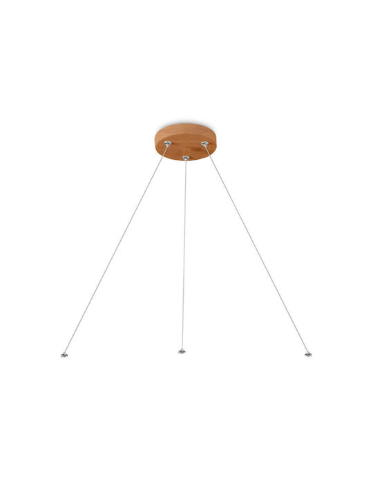 Braytron Pendant Light Brown