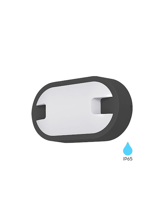 Braytron Επιτοίχια Χελώνα Εξωτερική IP65 21.5x12.5x5.9εκ.