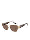 Armani Exchange Women's Sunglasses with Brown Metal Frame and Brown Lens AX2051S 611073