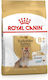 Royal Canin Yorkshire Terrier 8+ 1.5kg Dry Food for Dogs with Poultry