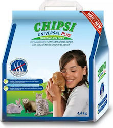 Chipsi Nisip pentru Custi Rozatoare Chipsi Nisip pentru Custi Rozatoare