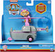 Spin Master Paw Patrol Airplane for 3+ years+ Years