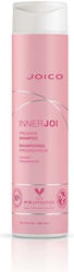Joico Innerjoi 300ml Joico Innerjoi 300ml