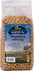 Βιολογικά Φασόλια Σόγιας Βio Υγεία 500gr