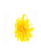 Παιδική Στέκα Μαλλιών με Λουλούδι Κίτρινη