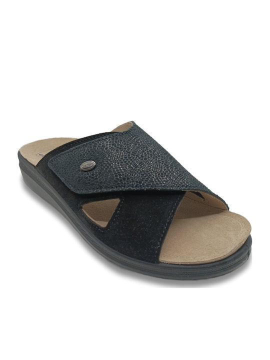 Scholl