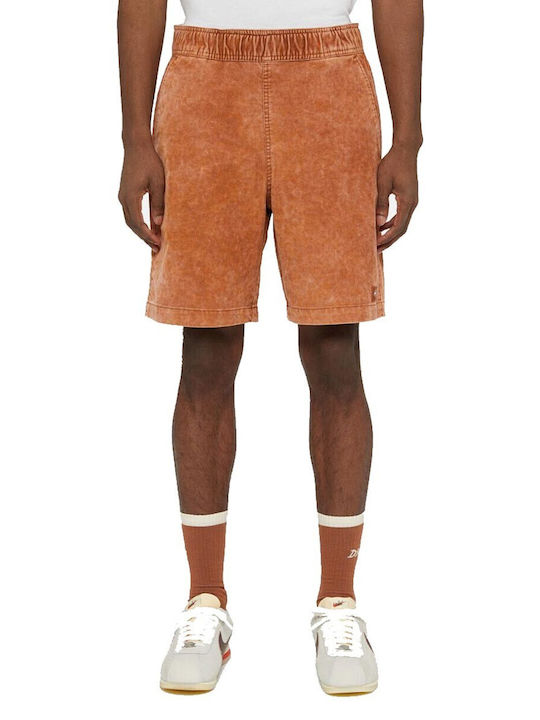 Dickies Sportliche Herrenshorts Coffee