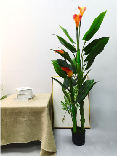 Plantă Artificială în Ghiveci Calla Green 160cm Home & Camp