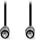 Nedis 3.5mm Jack Cable Male - 3.5mm Male Black 2m CAGL22000BK20