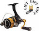 Daiwa Legalis LT 2023 Fishing Reel for Bolognese, Spinning and Vertical 4000