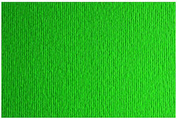 Картон Canson Fabriano 50x70cm 220gr Verde Pisello 40450710