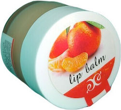 Hristina Cosmetics 100% Natural Lip Balm 30ml