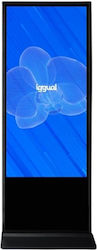 Iggual Interactive Display 55"