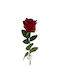 Artificial Decorative Branch Rose Red 50cm 1pcs