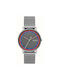 Skagen Watch with Gray / Gray Metal Bracelet