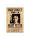 Αφίσα Harry Potter Undesirable 61x90cm
