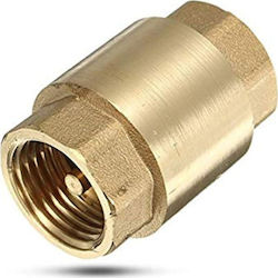 Supapă antiretur Arcul de alamă 1 1/4" Tasan