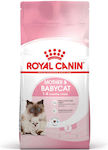 Royal Canin Dry Food for Juvenile Cats with Ton / Poultry / Rice 4kg