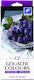 Titanum Titanum Aquarelle Mehrfarbiges Pinselset 12 Farben 12ml