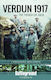 Verdun 1917 The French Hit Back Christina Holstein