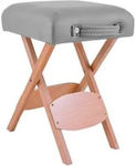 ICosmetics Medical Stool Gray 00548