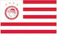 Polyester Flag of Olympic 250x150cm