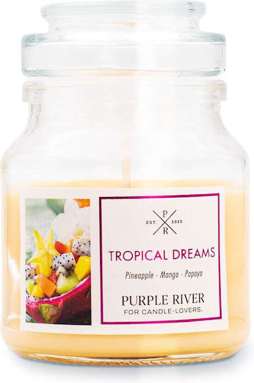 Purple River Aromatisches Soja Kerze in Gefäß 113gr