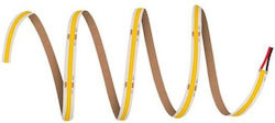 Tape Led Ls Pfm 1000 Cob 940 5 38w 4000k 405807...