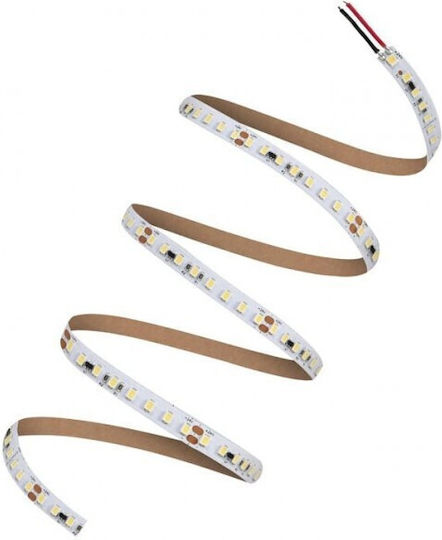 Ταινία Led Ls P 500 930 5 21w 3000k 4058075707498 Ledvance 4058075707498