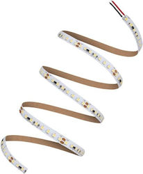 Ταινία Led Ls P 500 965 5 21w 6500k 40580757075...