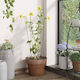 vidaXL Decorative Garden Metal 61cmx61cm 20pcs 319364