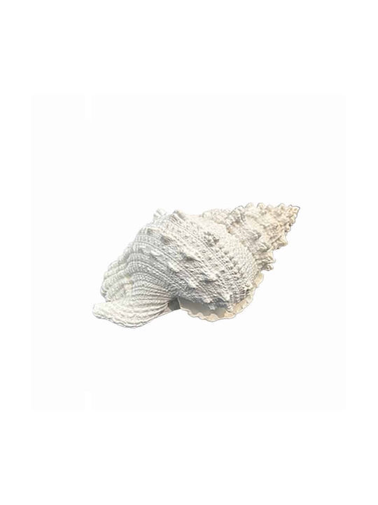 Art et Lumiere Dekoratives Muscheln aus Stein 2...
