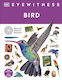 Bird Dk Dk Children
