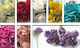 Papierblume 8cm 12Stk/Beutel 0520059 0520059 05...