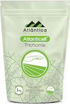 Atlantica Biostimulant Atlanticell Trichomix 1kg Bio