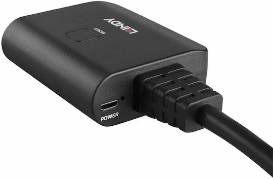 Lindy HDMI / micro USB Male to HDMI / micro USB Female Converter 1 Piece 38356