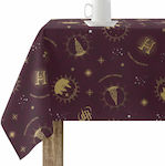 Party Tablecover Harry Potter S9802331