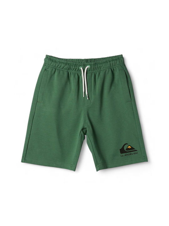 Quiksilver Șort/Bermude pentru copii din material textil Easy Day Verde