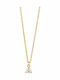 Radiant from Gold Plated Steel