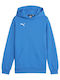 Puma Kids Sweatshirt with Hood Blue